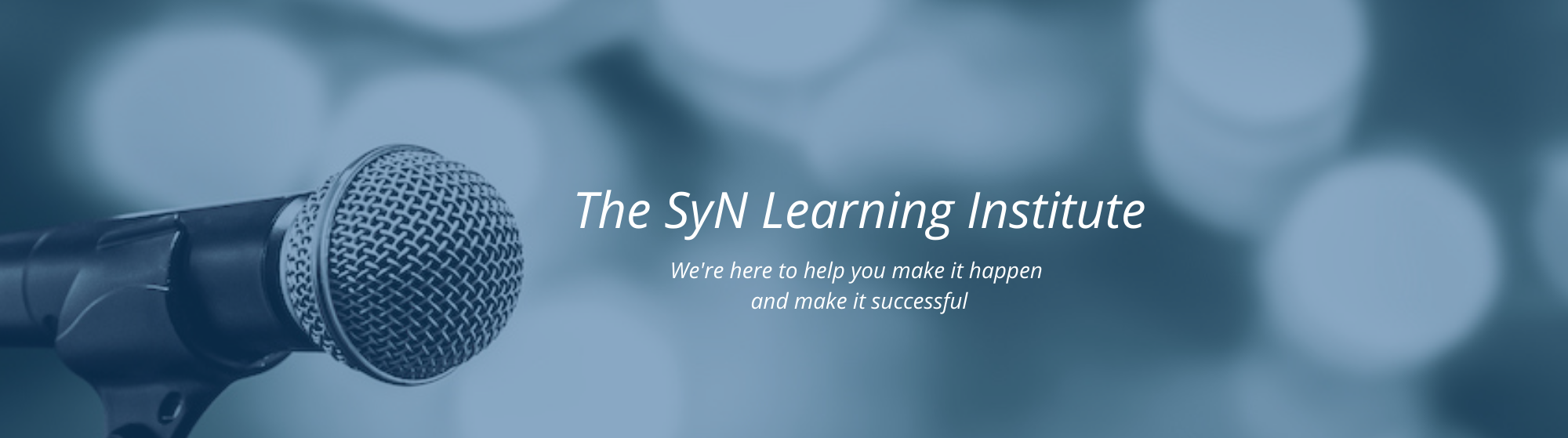 The SyN Learning Institute